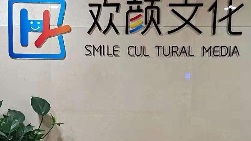 政府形象宣传片制作，费用构成与影响因素解析